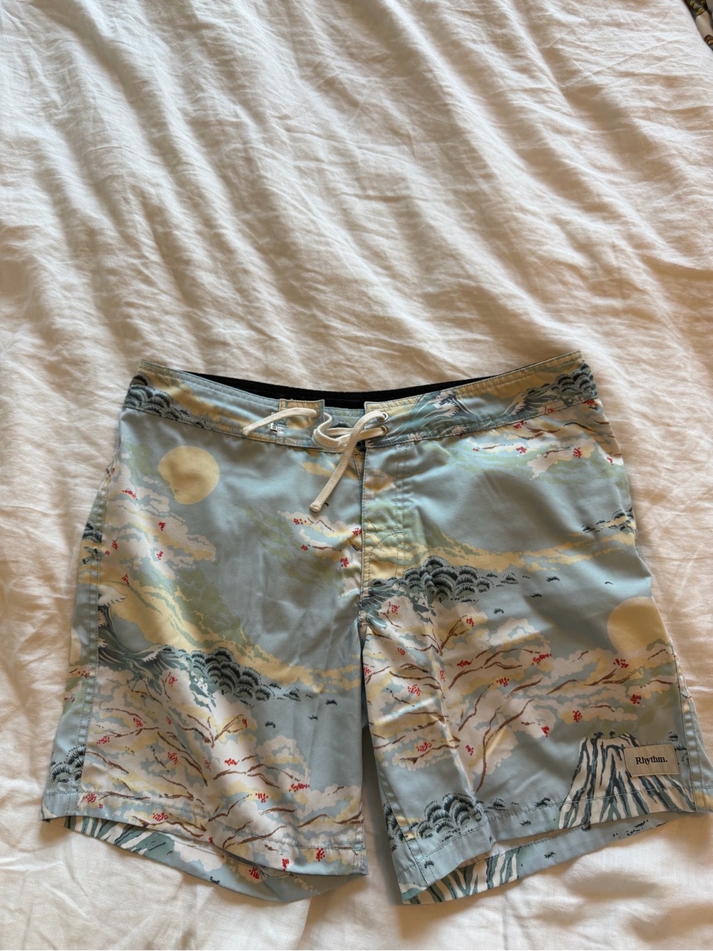 Rhythm. Men's Pale Blue Scenic Print Swim Shorts